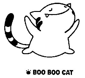 boo boo cat