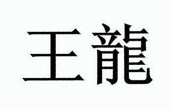  em>王龙 /em>