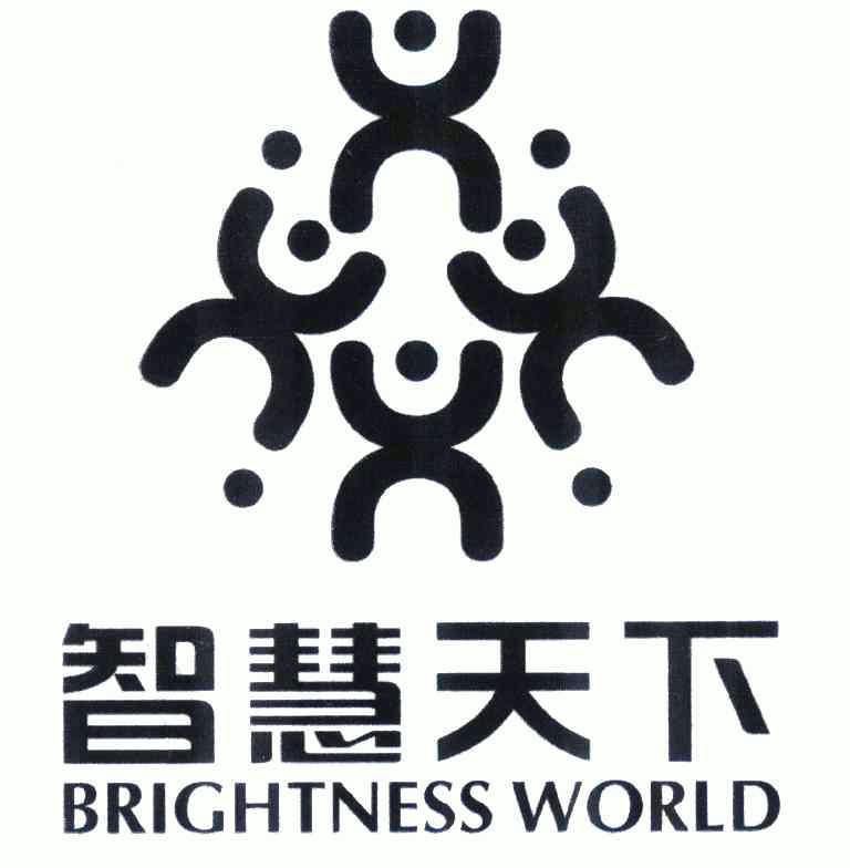 智慧天下 brightness world                 