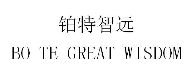 铂特智远 bo te great wisdom