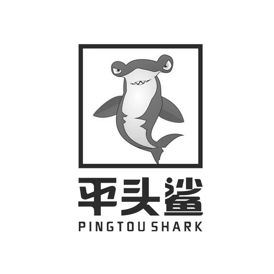 平头鲨 pingtou shark