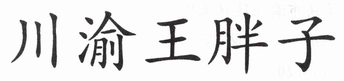 川渝王胖子驳回复审申请/注册号:12115507申请日期:201