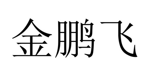 金鹏飞