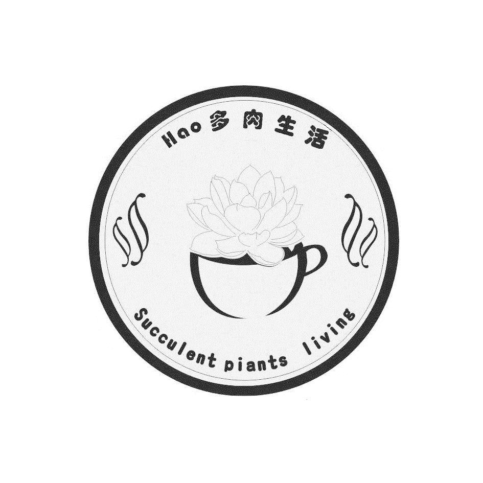  em>hao /em> em>多肉 /em> em>生活 /em>  em>hao /em> succulent  