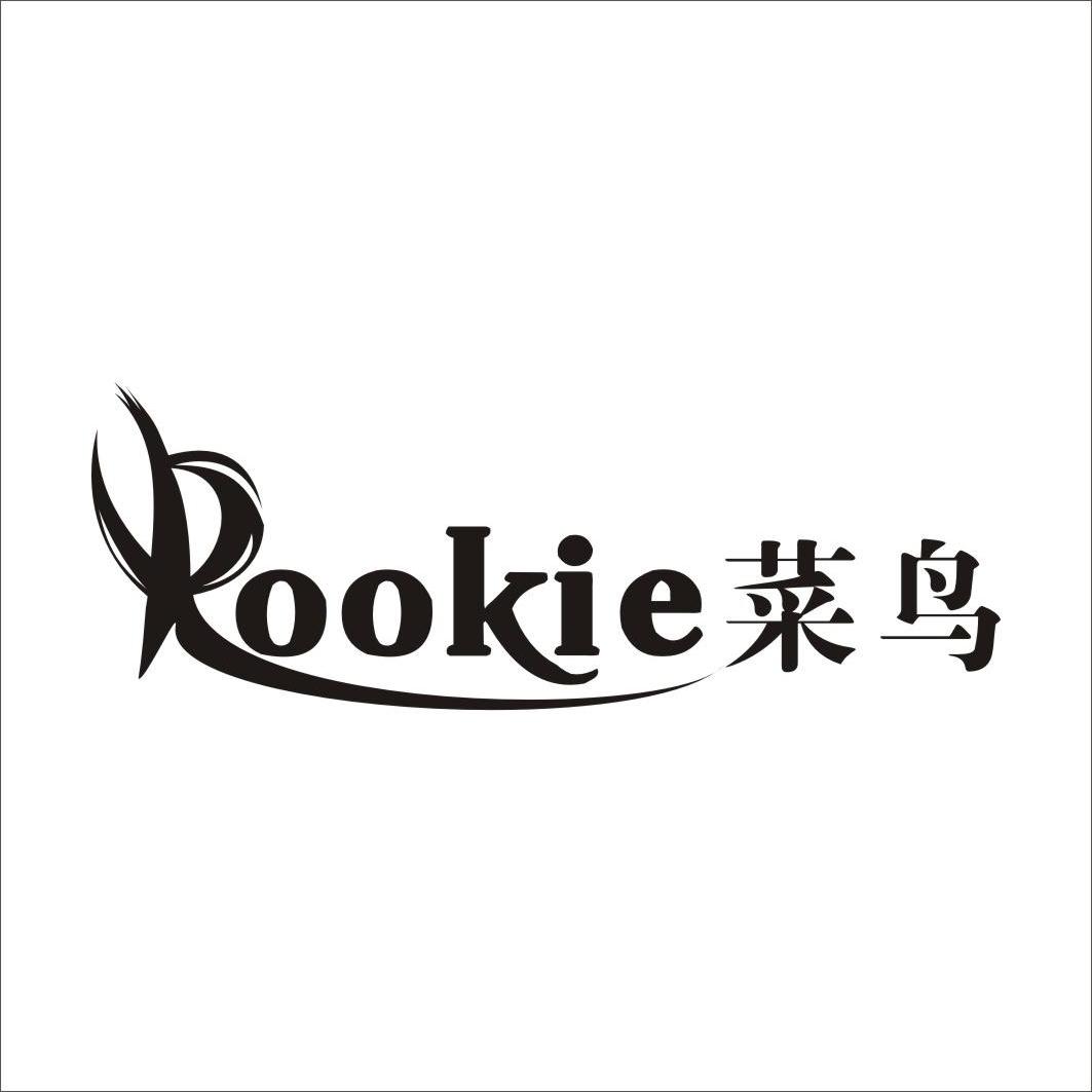 em>菜鸟 /em>  em>rookie /em>