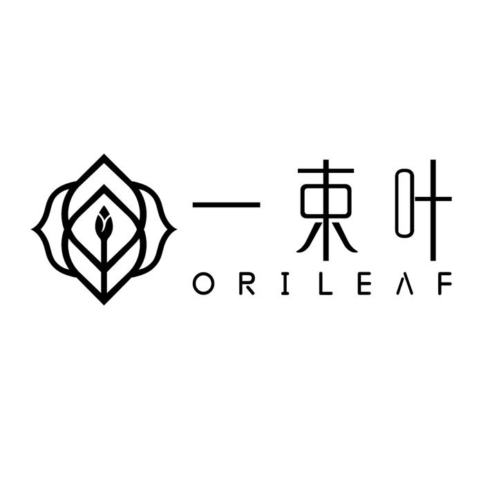 一叶子logo设计理念图片