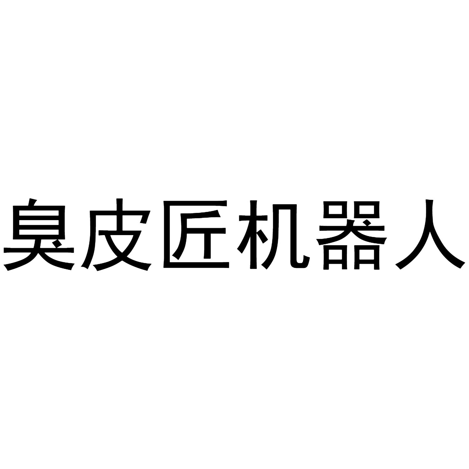 臭皮匠机器人                              