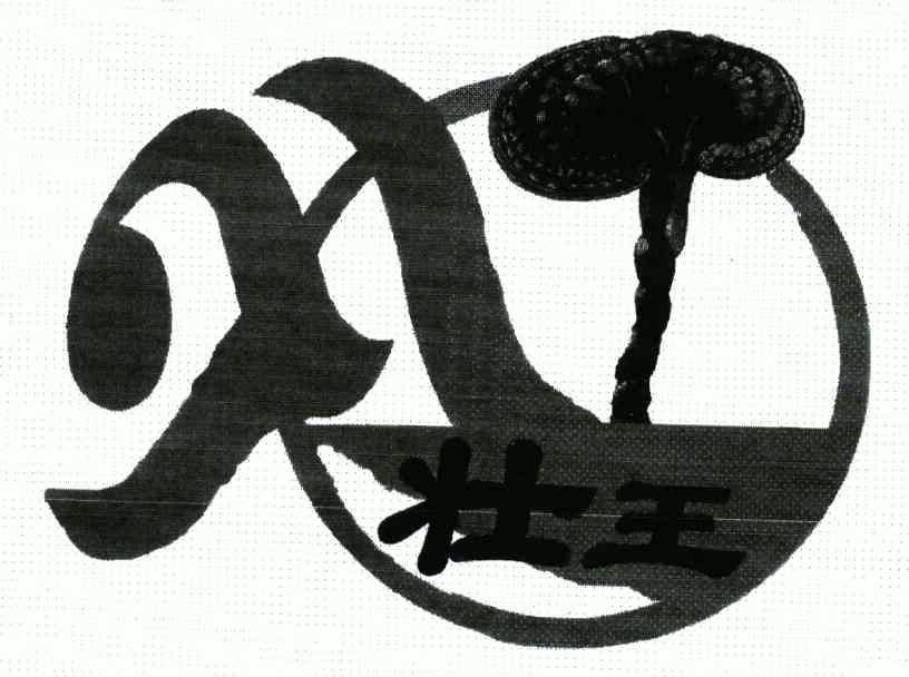 广西金嗓子有限责任公司办理/代理机构:北京永新商标代理有限公司壮王