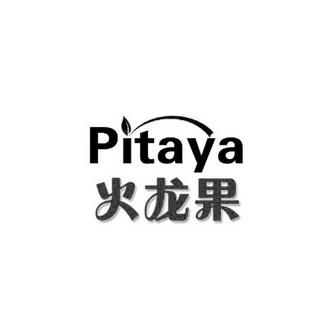 火龙果  em>pitaya /em>