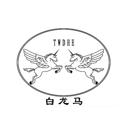 白龙马 twdhe                              