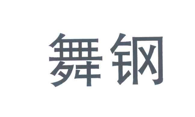  em>舞钢 /em>
