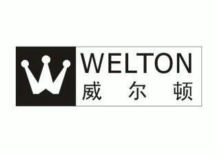  em>威尔顿 /em>; em>welton /em>