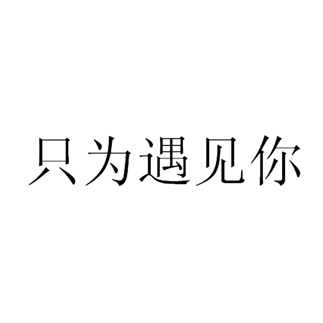 只为遇见你                                