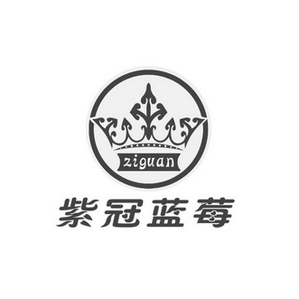 蓝莓品牌logo图片