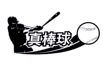 真棒球 - 企业商标大全 - 商标信息查询 - 爱企查