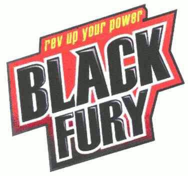 blackpower,solarpower rev up your power em>black/em em>fury/em>
