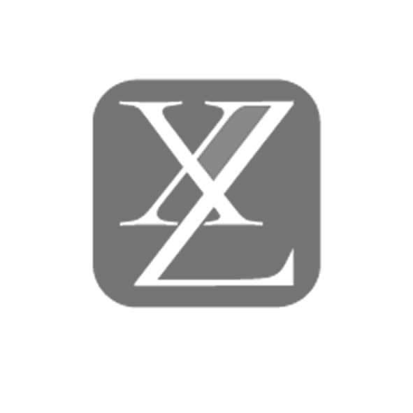 XZ字母创意logo设计图片