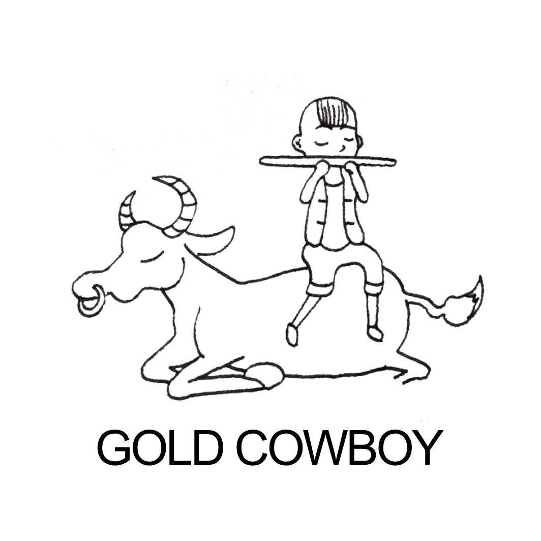  em>gold /em>  em>cowboy /em>