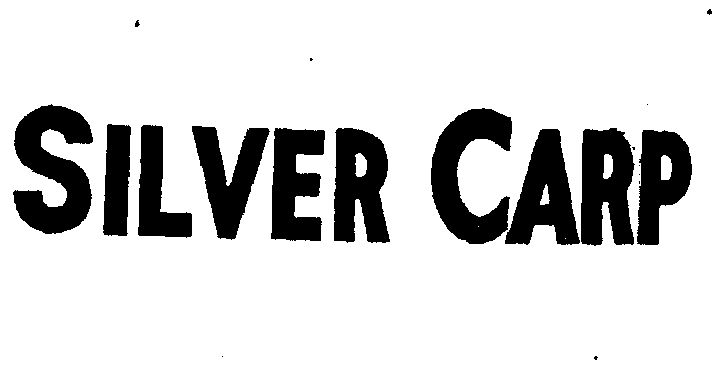 em>silver /em>  em>carp /em>