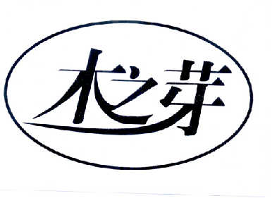  em>木 /em>之 em>芽 /em>