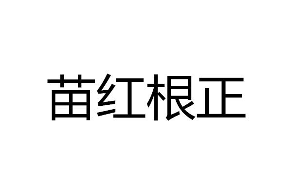  em>苗红根正 /em>