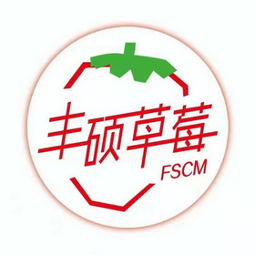丰硕草莓
