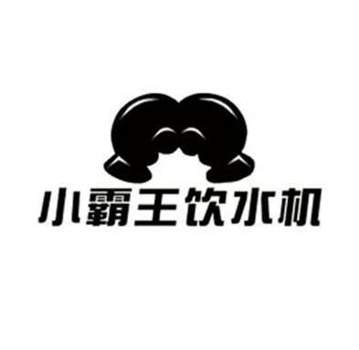  em>小霸王 /em> em>饮水机 /em>