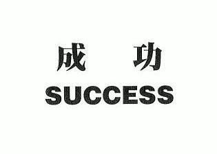  em>成功 /em>  em>success /em>