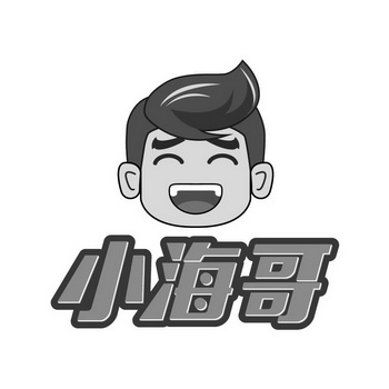 小海哥驳回复审申请/注册号:30819314申请日期:2018