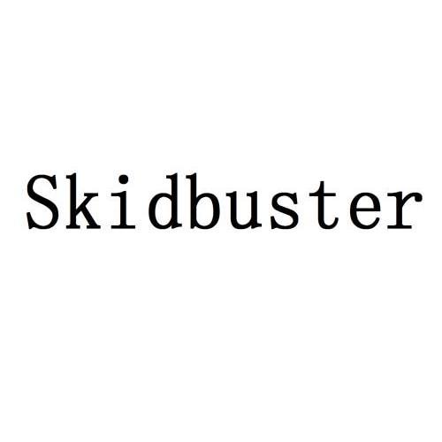 em>skidbuster/em>