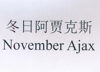 冬日阿賈克斯 november ajax