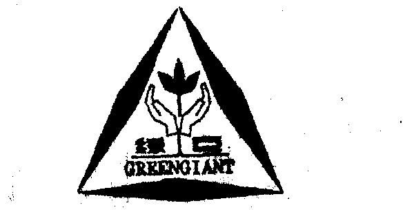  em>绿 /em> em>巨 /em>  em>green /em> em>giant /em>