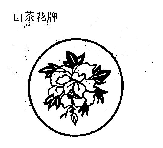 山茶花