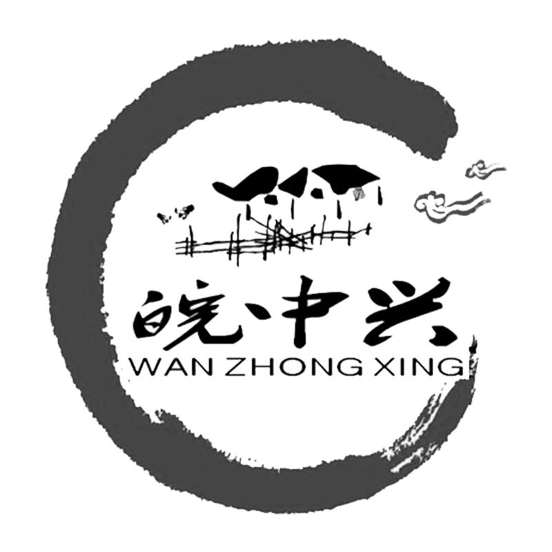  em>皖 /em> em>中兴 /em>