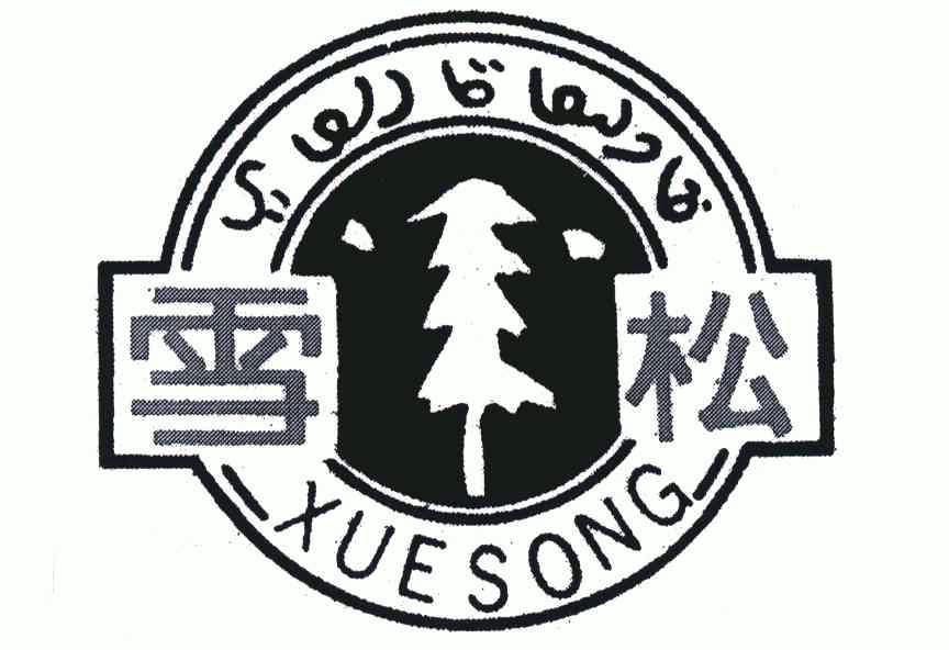 雪松;xue song                             