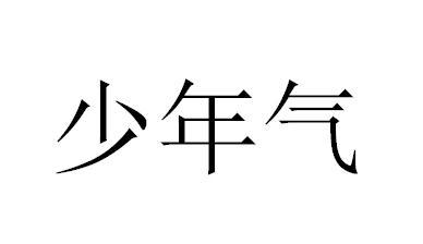 少年气