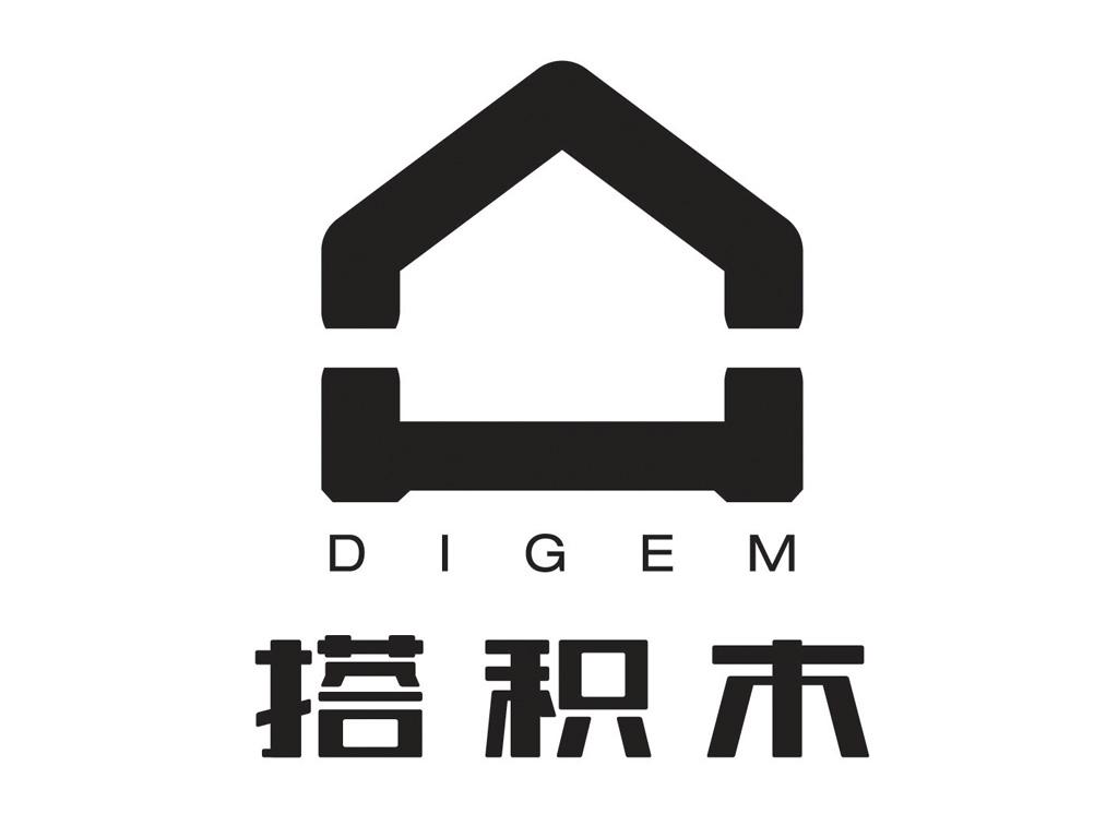 搭积木 digem                              