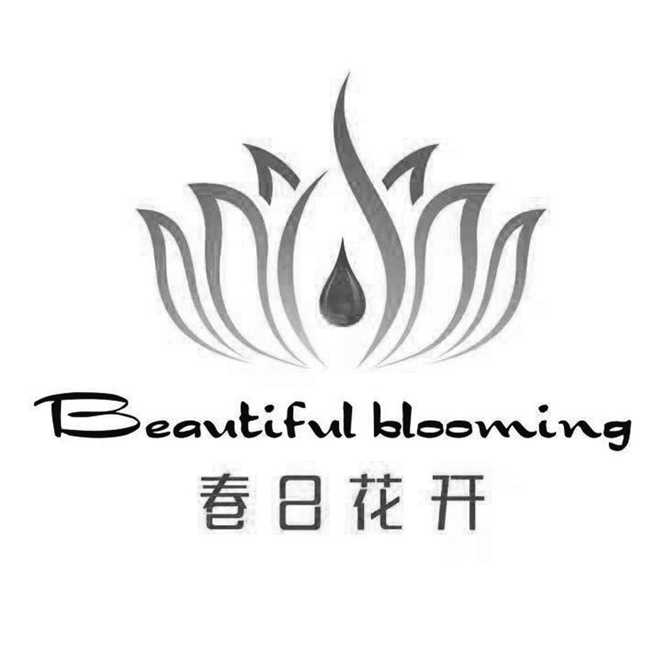 春日花开 beautiful blooming               