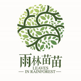 雨林苗苗 leaves in rainforest