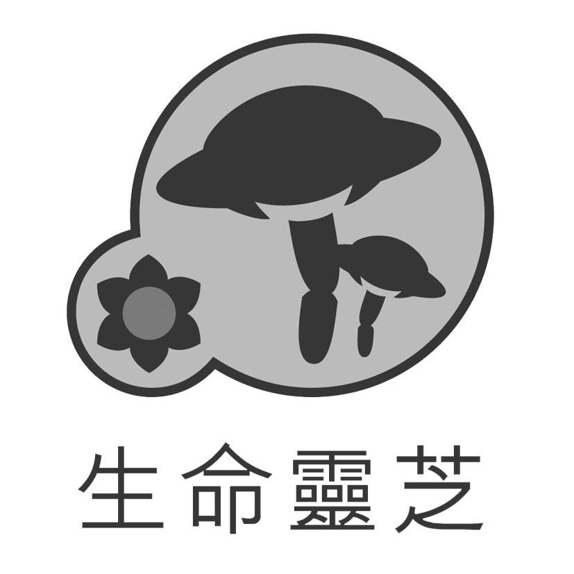  em>生命 /em> em>灵芝 /em>