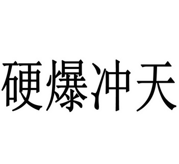  em>硬爆冲天 /em>