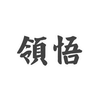 领悟                                      