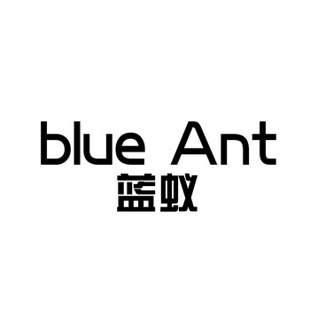  em>蓝蚁 /em> blue ant
