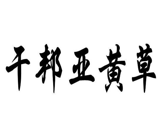 em>干邦亚/em em>黄草/em>