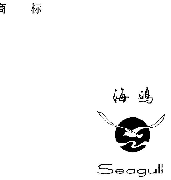 海鸥                                      