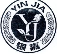 银嘉 yj