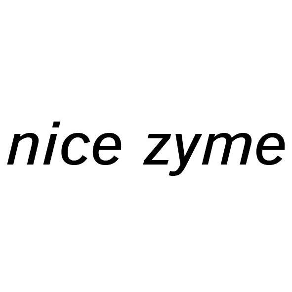 nice zyme