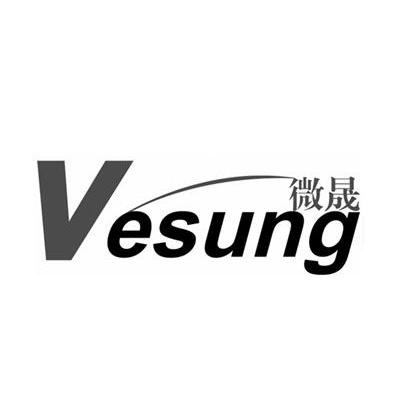 vesung 微晟