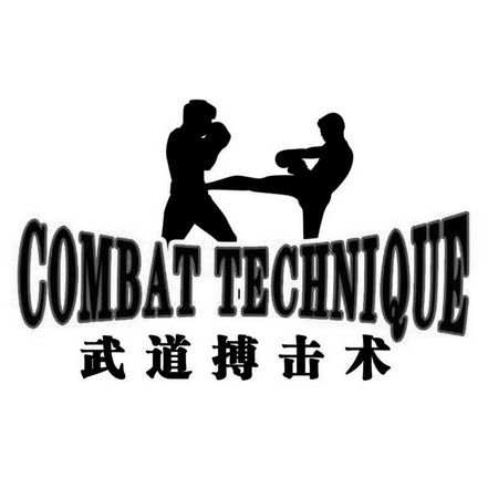 em>武道 /em> em>搏击 /em> em>术 /em> combat  em>technique /em>