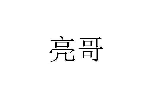 亮哥- 商标 - 爱企查